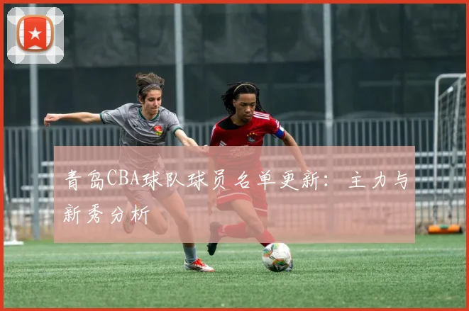 青岛CBA球队球员名单更新：主力与新秀分析