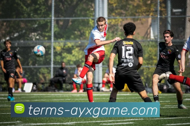 爱游戏平台生态图